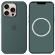 Уценка Чехол Silicone case (AAA) full with Magsafe and Animation для Apple iPhone 16 Pro (6.3")