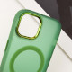 Чехол TPU+PC Lily with MagSafe для Apple iPhone 11 (6.1")