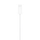 Кабель Apple Watch Magnetic Fast Charger to USB-C Cable (MT0H3)