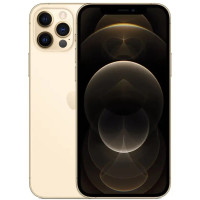 Apple iPhone 12 Pro Мах 256Gb Gold_A
