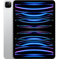 Планшет Apple iPad Pro 11" Wi-Fi 2Tb Silver