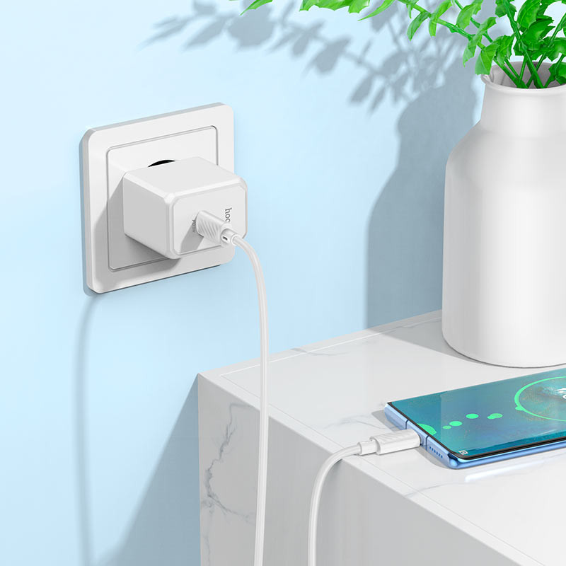 СЗУ HOCO CS13A Ocean PD20W (1USB-C) + Type-C to Type-C