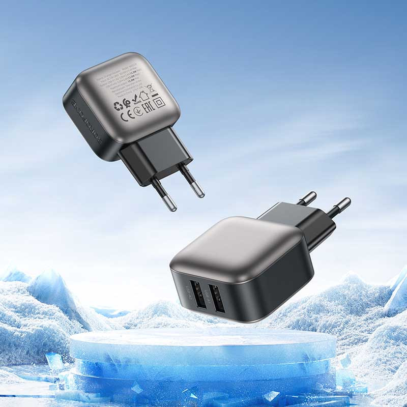 СЗУ Borofone BAS51A Absolute (2USB-A) + Type-C