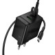 СЗУ Borofone BAS17A Erudite PD65W+QC3.0 (1USB-A/1C) + кабель Type-C to Type-C